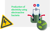 microbial fuel cell, Grafic: UFZ